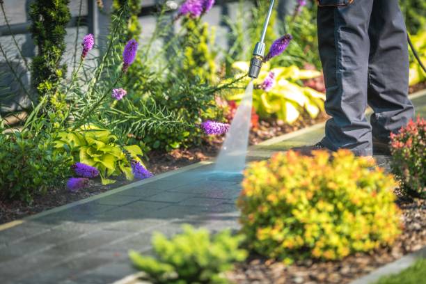 Best Fence Cleaning  in Galesburg, IL